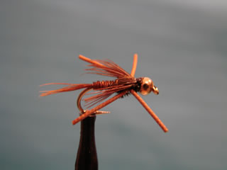 Bead Head Rubber Pheasant Tail (10-14)